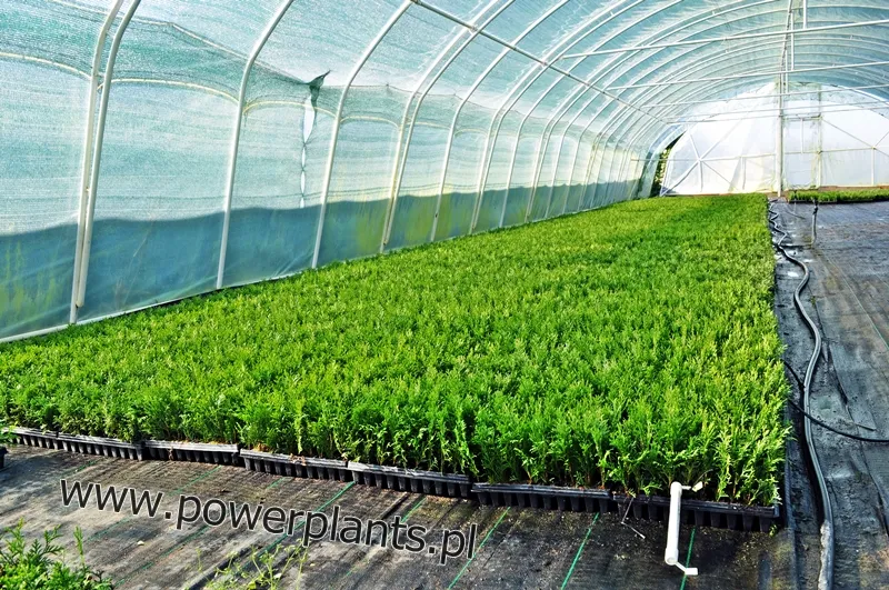 Апісанне слайда 3